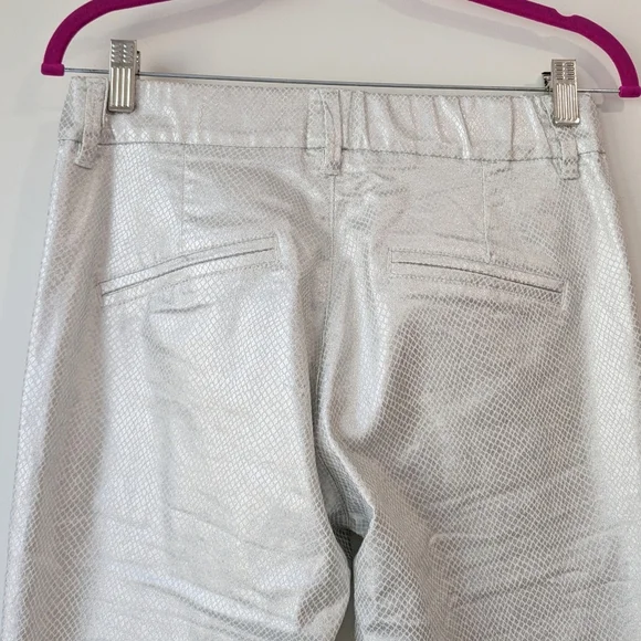 Bevy Flog Nansi Pants In Silver Python